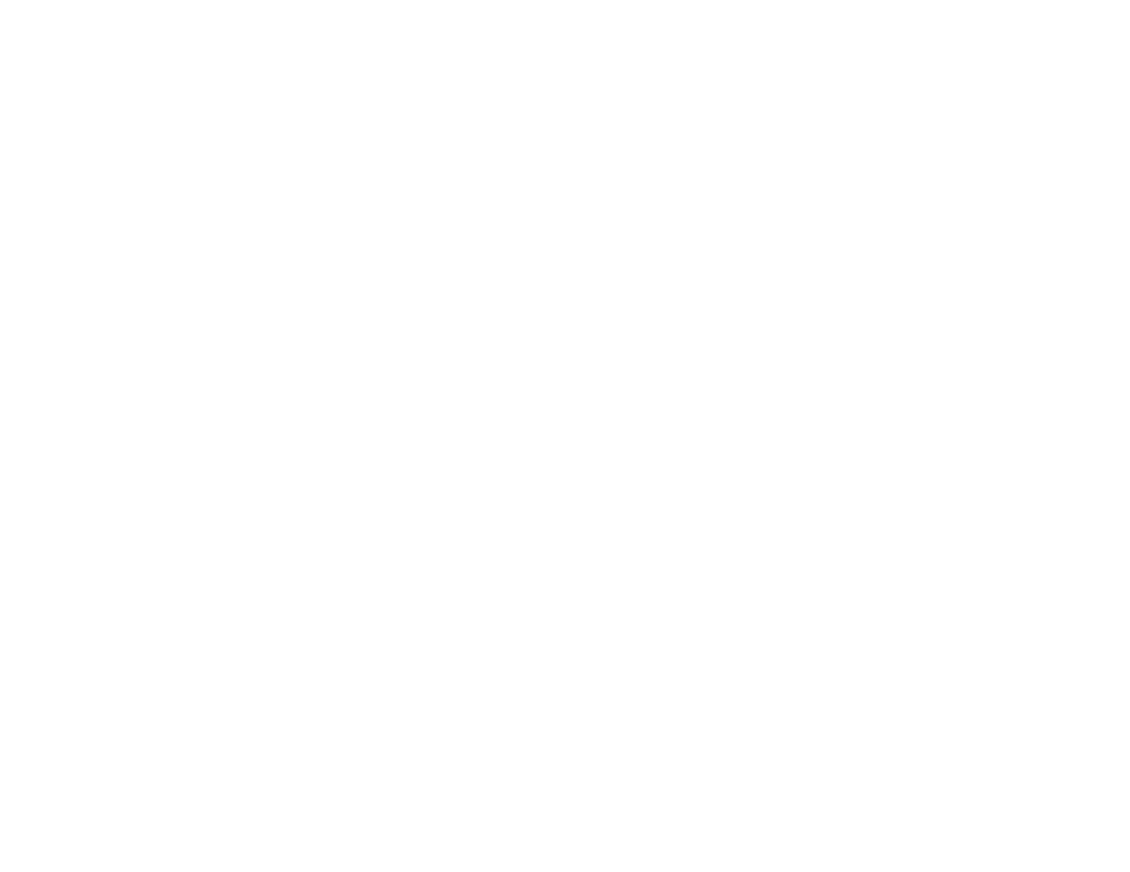 Banff Sport Medicine white logo