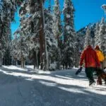 winter hike in the woods