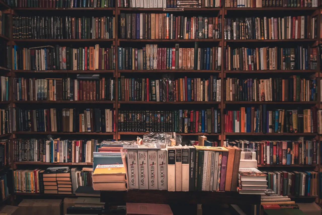 books-on-wooden shelf
