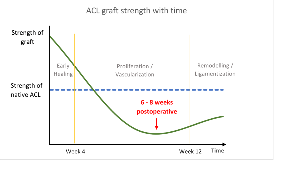 ACL Reconstruction Accelerated Rehabilitation - Northeast