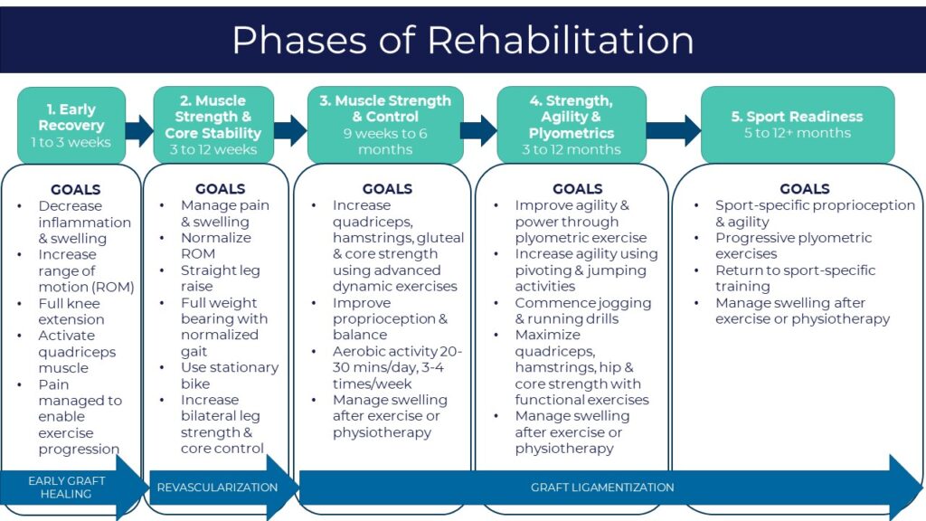 phases of acl reconstruction rehab