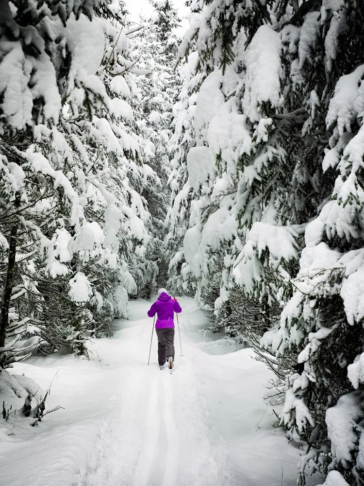 nordic skiing